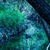 crop of image 10