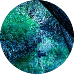 crop of image 10